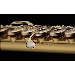 New Muramatsu Flute, Professional Model 24K Gold-SR