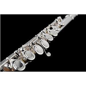 New Di Zhao Flute, Student Model DZ100