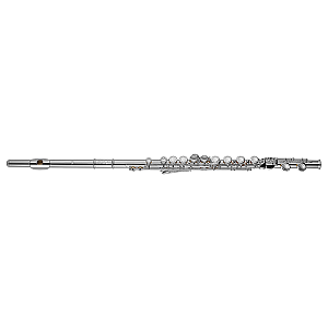 New Di Zhao Flute, Student Model DZ301 CEA