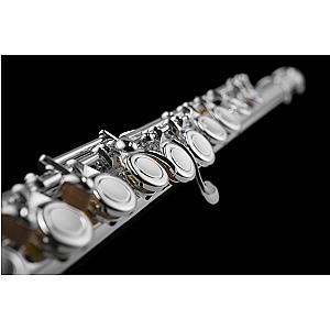 New Di Zhao Flute, Student Model DZ301 CEA