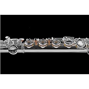 New Di Zhao Flute, Student Model DZ401 BEF