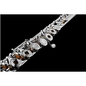 New Di Zhao Flute, Intermediate Model DZ501 BEF