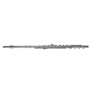 New Di Zhao Flute, Professional Model DZ701 BEF