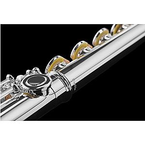 New Di Zhao Flute, Professional Model DZ701 BEF