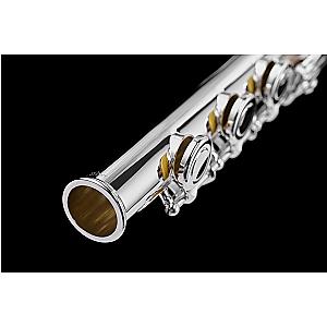 New Di Zhao Flute, Professional Model DZ701 BEF
