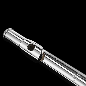 New Di Zhao Alto Flute, Intermediate Model DZA-100S