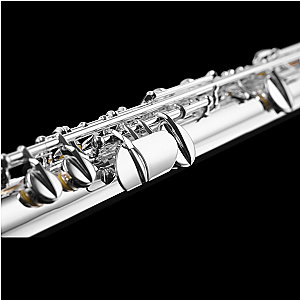 New Di Zhao Alto Flute, Intermediate Model DZA-100S