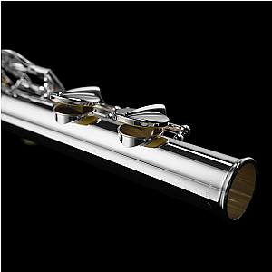 New Di Zhao Alto Flute, Semi-Professional Model DZA-200