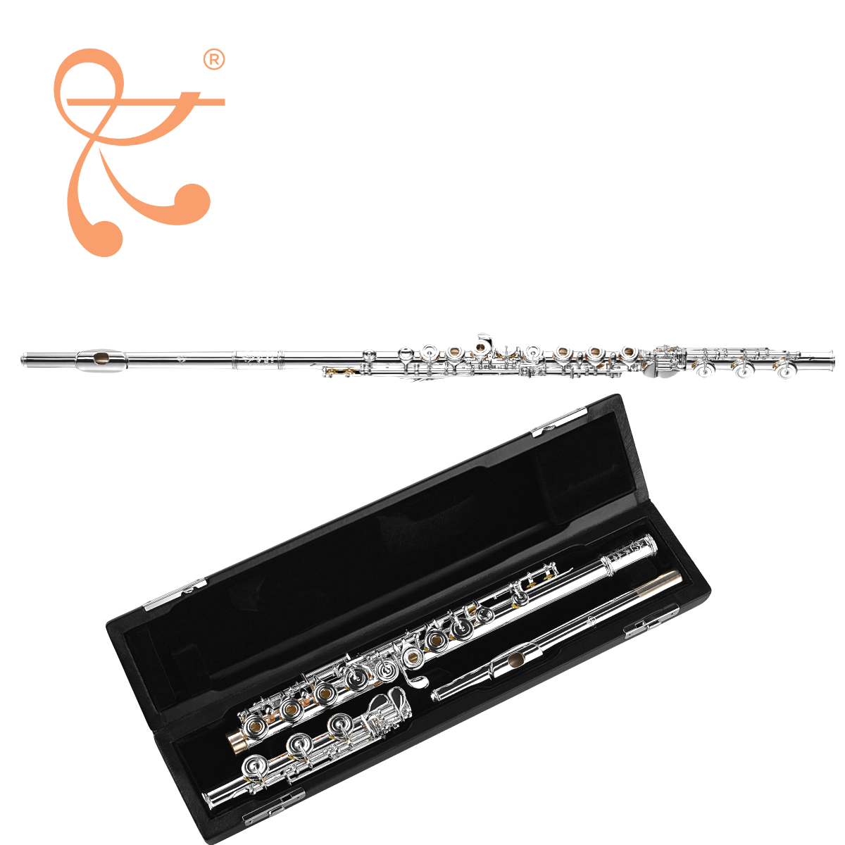 New Di Zhao Flute, Professional Model DZ801 BEF