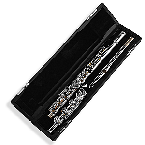 New Di Zhao Flute, Professional Model DZ801 BEF