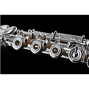 New Di Zhao Flute, Professional Model DZ801 BEF