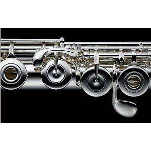 Muramatsu Flute EX Model Professional C-Foot/ B-Foot Flute