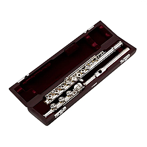 Muramatsu Flute DS