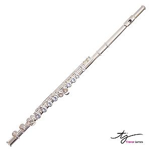 Trevor James Flute TJ5xE 3005EW/3005REW Student Model Silver-Plated Flute (Open/Closed Hole)