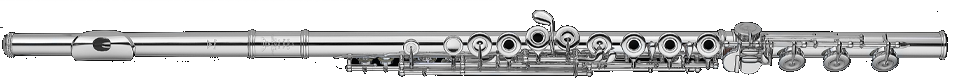Sankyo Flute CF601 Professional Model Full Silver Flute