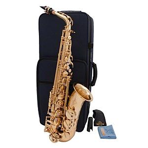 Buffet Crampon Alto Saxophone 100 Series- BC8101