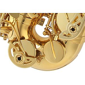 Buffet Crampon Alto Saxophone 100 Series- BC8101