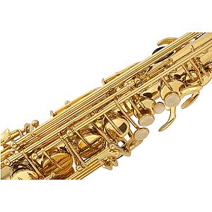 Buffet Crampon Alto Saxophone 100 Series- BC8101