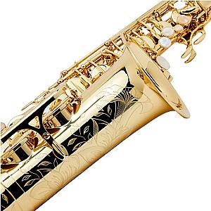 Selmer Paris Seles Saxophone Professional Model AXOS Alto Saxophone