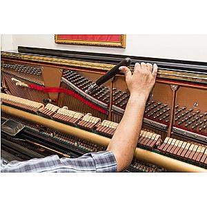 Piano Tuning & Servicing